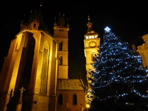 Loňský vánoční strom na Velkém náměstí | Foto: Archiv
