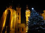 Loňský vánoční strom na Velkém náměstí | Foto: Archiv