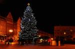 Další hradecký strom je ozdobený na Masarykově náměstí, zanedlouho budou i pod ním vánoční trhy, začínají 14. prosince
