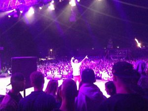Loni na festival dorazilo 20 tisíc lidí. Zdroj: Archiv Hip Hop Kemp