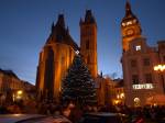 Vánoční strom na Velkém náměstí