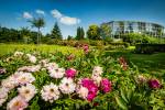 O víkendu se otevře Zahrada léčivých rostlin Farmaceutické fakulty Univerzity Karlovy v Hradci Králové.